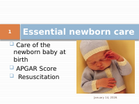 Essential Newborn Care.pdf